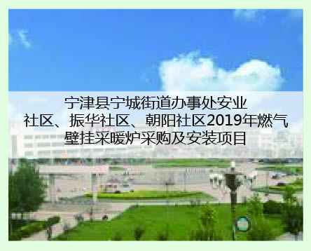 宁津县宁城案例